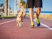 Things to Note for Walking Exercise