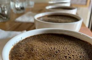 Coffee Knowledge | Differences Between Black Honey from Different Growing Regions in Costa Rica