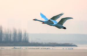 People Who Love Freedom Are Always Thinking of Love