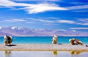 Why is Tibet So Charming?