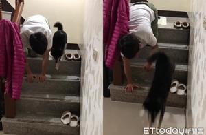 The Dog Won't Go Downstairs! Grandpa Kneels to Demonstrate, Drops His Package