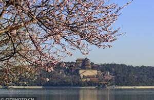 Beijing's Yihe Garden: Peach Blossoms and Azure Waters Adorn the West Bank