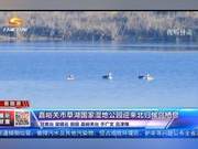 Grass Lake National Wetland Park Welcomes Returning Migratory Birds