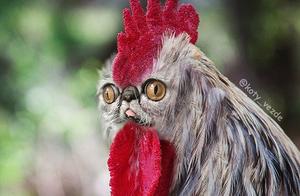 If Other Animals Had Cat Faces, The Image Would Be Too Beautiful to Bear