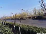 She County: A Fragrant Piece of Heart | Spring and Jingming Mountain and Rivers are Well