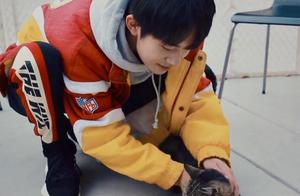 Cute Encounters: Little Yixi and Kitten Moments