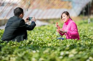 Agricultural Tourism Integration Drives Rural Revitalization