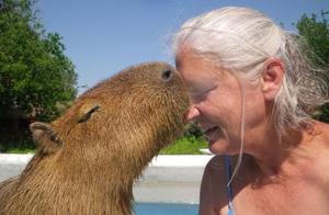 Animals that are willing to kiss you with their eyes meeting yours are the best diplomats, and no one wants to harm them.