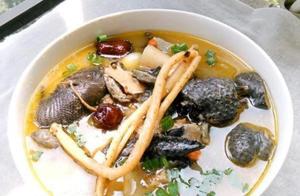 Food Recommendations: E Jiao (Black Chicken) Soup, Home-Style Stewed Chicken, Pineapple Shrimp, Braised Pork Ribs