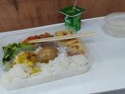 Why Do Some People Gain Weight When Eating the Same Rice?