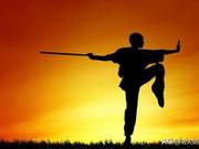 Traditional Classic Martial Arts: Whip Technique (Part 1)