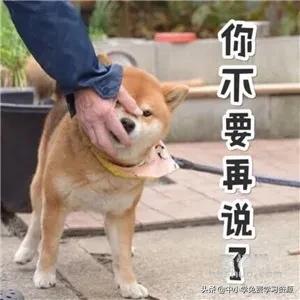 「超级宝妈」“不要救我，我真的太累了！”妈妈辅导儿子学习气到跳河…