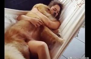 Owner Hugs Dog to Sleep, Awkward Photo Angle Sparks Online Comments