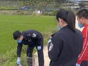 Wanning Forest Public Security Bureau Rescues a National Level II Protected Animal, the Vulture, and Releases it Back into Nature