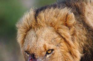 What Living Mammals Are Most Miserably Trapped?