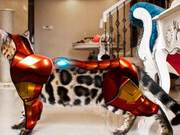 Re-interpretation of Bengal Cats with Golden Coats