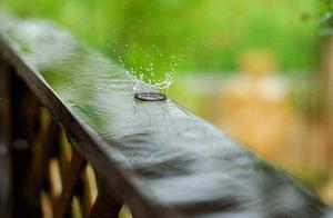 In the Spring Rain, I Met You
