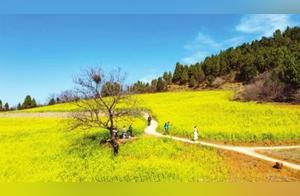 Luoning Issues 'Invitation' to Medical Staff Nationwide, Offering Free Tours of Scenic Areas