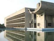 Monkey Troops Occupy Government Buildings in India, Staff Use Homemade Slings to Drive Them Away
