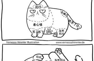 Vernessa Himmler Tells You the Real Daily Life of a Pet Owner
