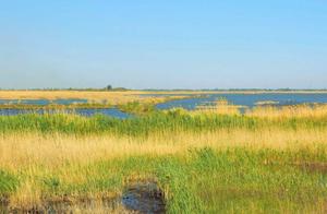 Xinjiang's Most 'Mysterious' Lake: Hidden in the Desert, Now a Famous Tourist Attraction!
