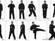 Detailed Hand Techniques and Combat Explanations for Shanxi Style Heart Palm Fist