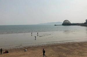 Qingdao Stack Bridge Scenic Area Visitors Start Clam Digging