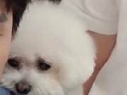 Li Jiaqi's Dogs Still Need Scientific Feeding