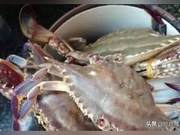 3 'Delicious' Dishes Loaded with Parasites - Night Market Staples You Might Be Eating