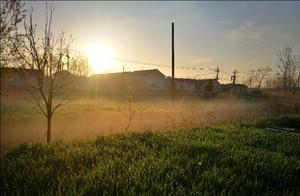 The Countryside Suffocated by Beauty