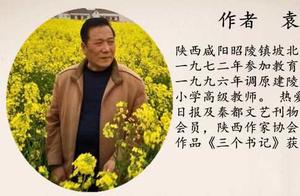 It's the Ideal Season to Eat Persimmon Flower Knots Again – A Taste of Excellent Persimmon Flower Knots