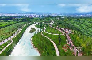 High-Definition Photo Group: Mile, Yunnan – Dianchi Marsh Forms a Beautiful Landscape with Thousands of White-Faced Ibises