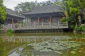 In Shenzhen's Fast-Paced City, Hidden Gems Offer Tranquility Away from the Urban Hustle