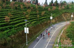 Let's Go to Leshan to Admire Cherry Blossoms!