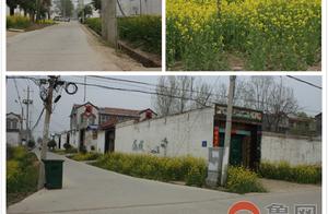 Dushan Town, Guyan County: Rapeseed Flowers Bloom on Streets and Lanes, Beautifying Villages and Delighting Residents