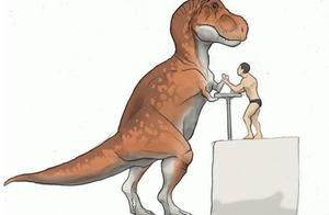 What were the two small hands of the Tyrannosaurus Rex used for?