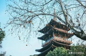 Springtime in Hangzhou: Blooming Flowers and a Picnic at Drum Tower—Wugongshan!