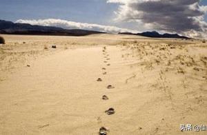 Why Can't You Walk in a Straight Line When Lost in the Desert? The More Straight You Go, the Worse It Gets! (Let's Do It This Way!)