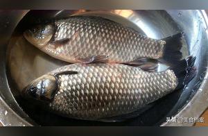 How to Make Delicious Spring Crucian Carp? Try Oil-Drenched Crucian Carp Instead of Fried or Braised with Tofu!