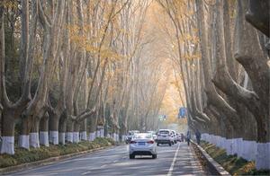 This Lake in Nanjing is the True Filming Location of 'Legend of the White Snake' – You'll Regret Not Seeing It!