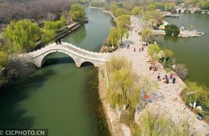 Flying to Admire the Spring Colors