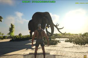 The Strongest Land Creature in the Game: The Elephant as a Transport Beast