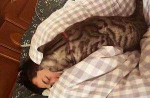 Cat Mistook Owner for Dead, Approaching to Test the Situation