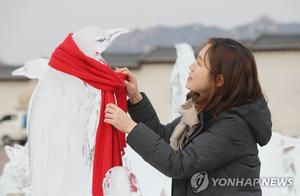 100 'Transparent Penguins' Appear in Seoul, South Korea, 'Seeking Human Protection'