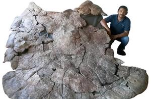 Extinct Giant Turtle Discovered in South America, Weighing 1 Ton and 3 Meters Long, with Bite Marks on Shell