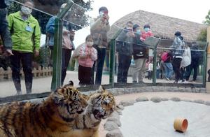 Hangzhou Wild Animal World Partially Reopens