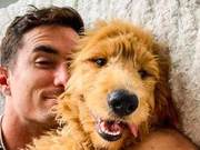 Celebrating His Dog's Birthday: Man Rents Billboards to Honor His Canine Companion