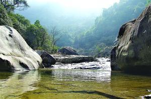 Clear Longhu Mountain: Leisure and Fragrant Scents