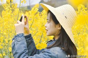 Cloud Viewing Flowers | Beautiful! Bozhou Mao Li Offers Golden Romance, Come and See for Yourself!
