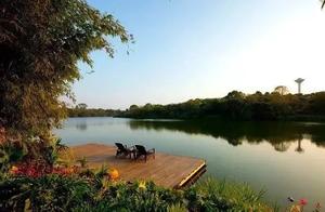 Hidden in the Green Fields, Migratory Birds Rest Here – A Beautiful Stay